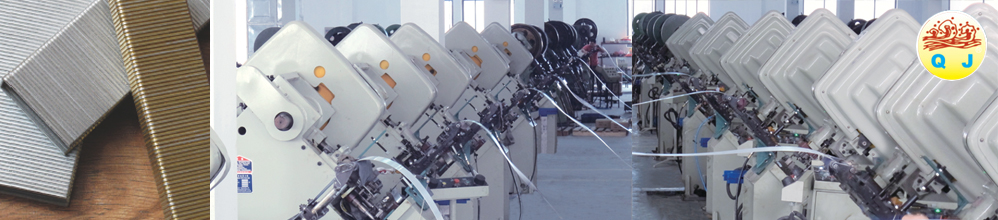 ���{-����500ǧ�f(w��n)ݔ늹���